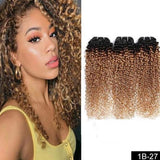 Weave Bundles Afro Kinky Curly Remy Hair Extensions Ombre Brazilian 100% Human Hair - EvaParisBeauty