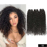 Weave Bundles Afro Kinky Curly Remy Hair Extensions Ombre Brazilian 100% Human Hair - EvaParisBeauty